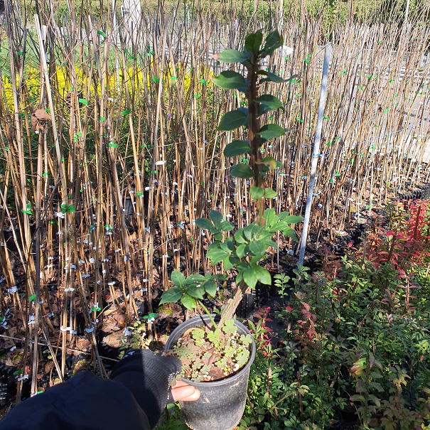 콺 ŬϽø ̹ Ǽ ֽϴ.