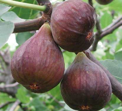 콺 ŬϽø ̹ Ǽ ֽϴ.