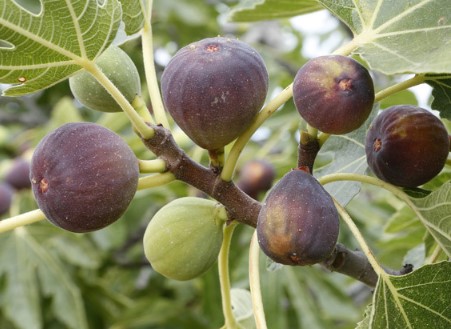 콺 ŬϽø ̹ Ǽ ֽϴ.