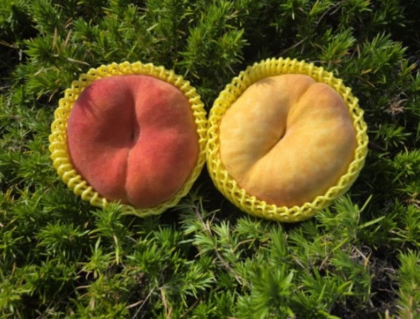 콺 ŬϽø ̹ Ǽ ֽϴ.