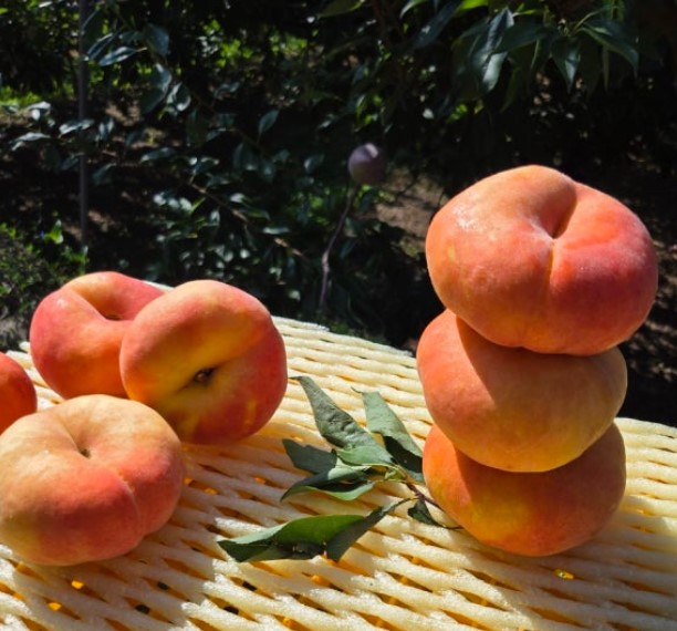 콺 ŬϽø ̹ Ǽ ֽϴ.