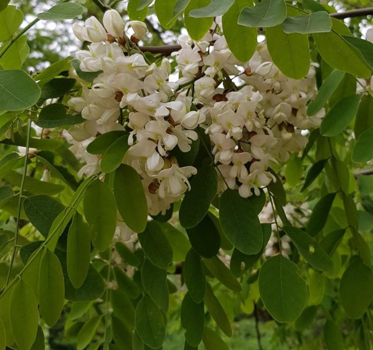 ���콺�� Ŭ���Ͻø� �����̹����� ���Ǽ� �ֽ��ϴ�.